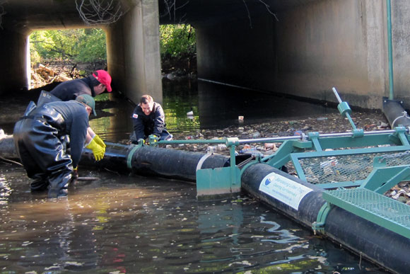 Maintaining a Bandalong litter trap