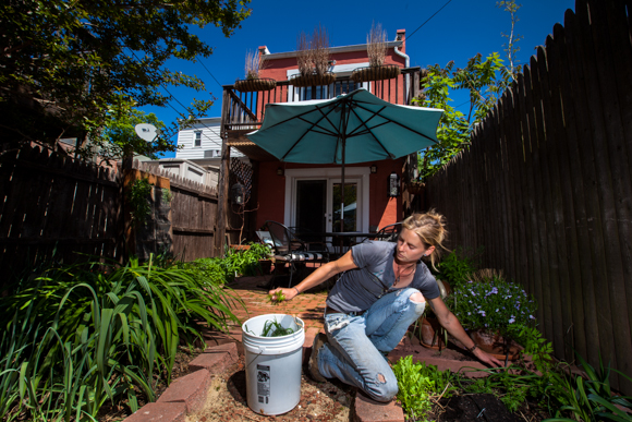Sheperd tends a small backyard garden in Capitol Hill