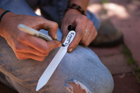 Labeling the crops