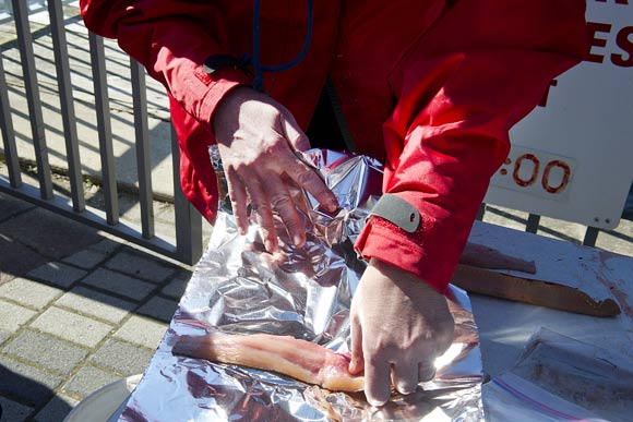 This catfish filet isn't for eating--it'll be sent to the University of Maryland to be tested for contaminants