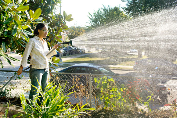 Gail Taylor says her urban farming is a "hobby" because current laws can't support it as a business