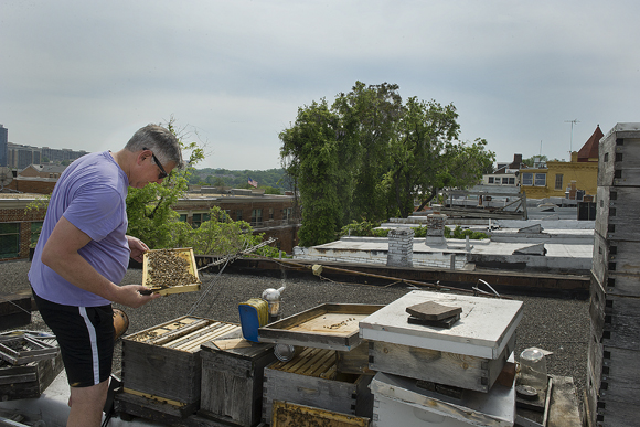 Jeff Miller, founder of Georgetown Honeybee Company, has two hives on his roof and another 25 across the city. He's one of a number of urban apiarists who've taken to raising bees in the city