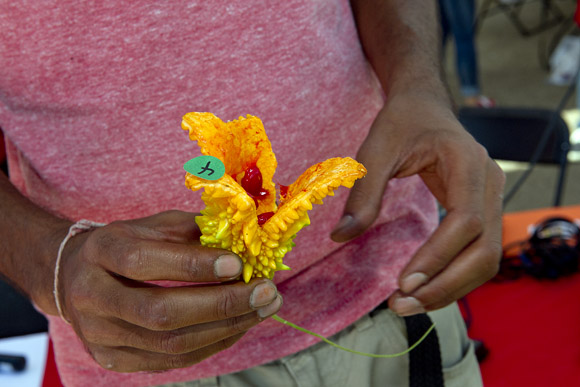 A contestant in the State Fair's "funkiest vegetable" contest