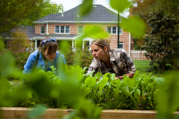 Shepherd teaches one of her new gardeners how to harvest salad leaves