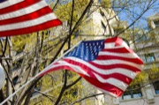 American_Flag_with_trees_and_buildings_thumb.jpg
