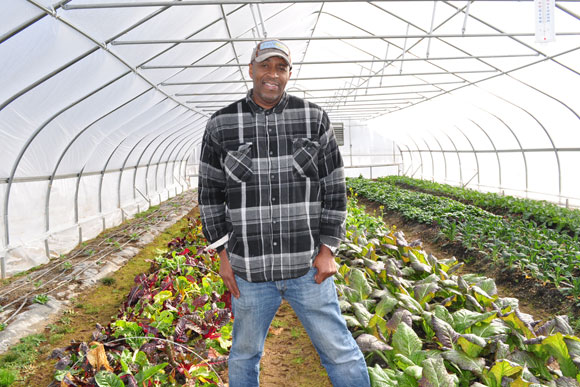 Mchezaji "Che" Axum stands in a hoop house at the University of the District of Columbia's Muirkirk Research Farm, a growing resource for urban farmers in the city