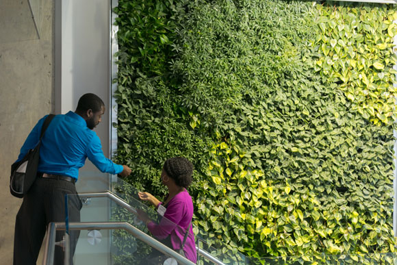 Visitors admire a living wall at the venue, which is watered by condensate from the building's air conditioning system
