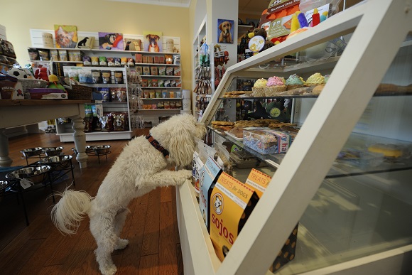 All Wylie Wagg stores, including this one in Fairfax, VA, carry nutritional pet foods and treats.