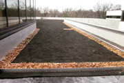green roof at french embassy
